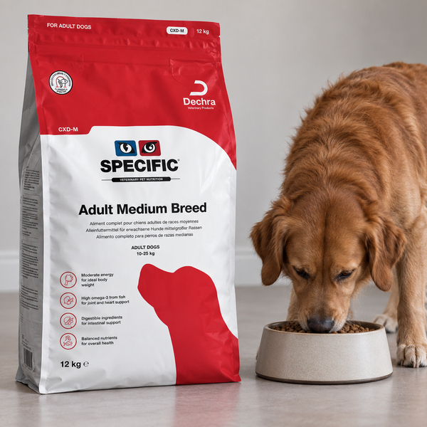 Specific hundefoder: diætfoder fra dyrlægen og alternativer
