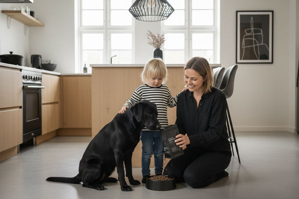 hundefoder fordele familie