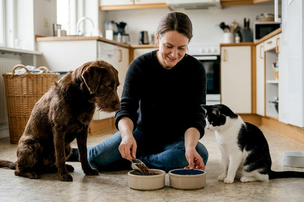 En kvinde står i køkkenet og vejer foder op til både hunden og katten.