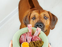 Bedste hundefoder
