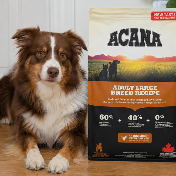 ACANA hundefoder: alle serier forklaret, og hvilken din hund skal have