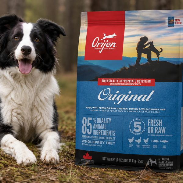 ORIJEN hundefoder: varianter, indhold og hvilken skal du vælge