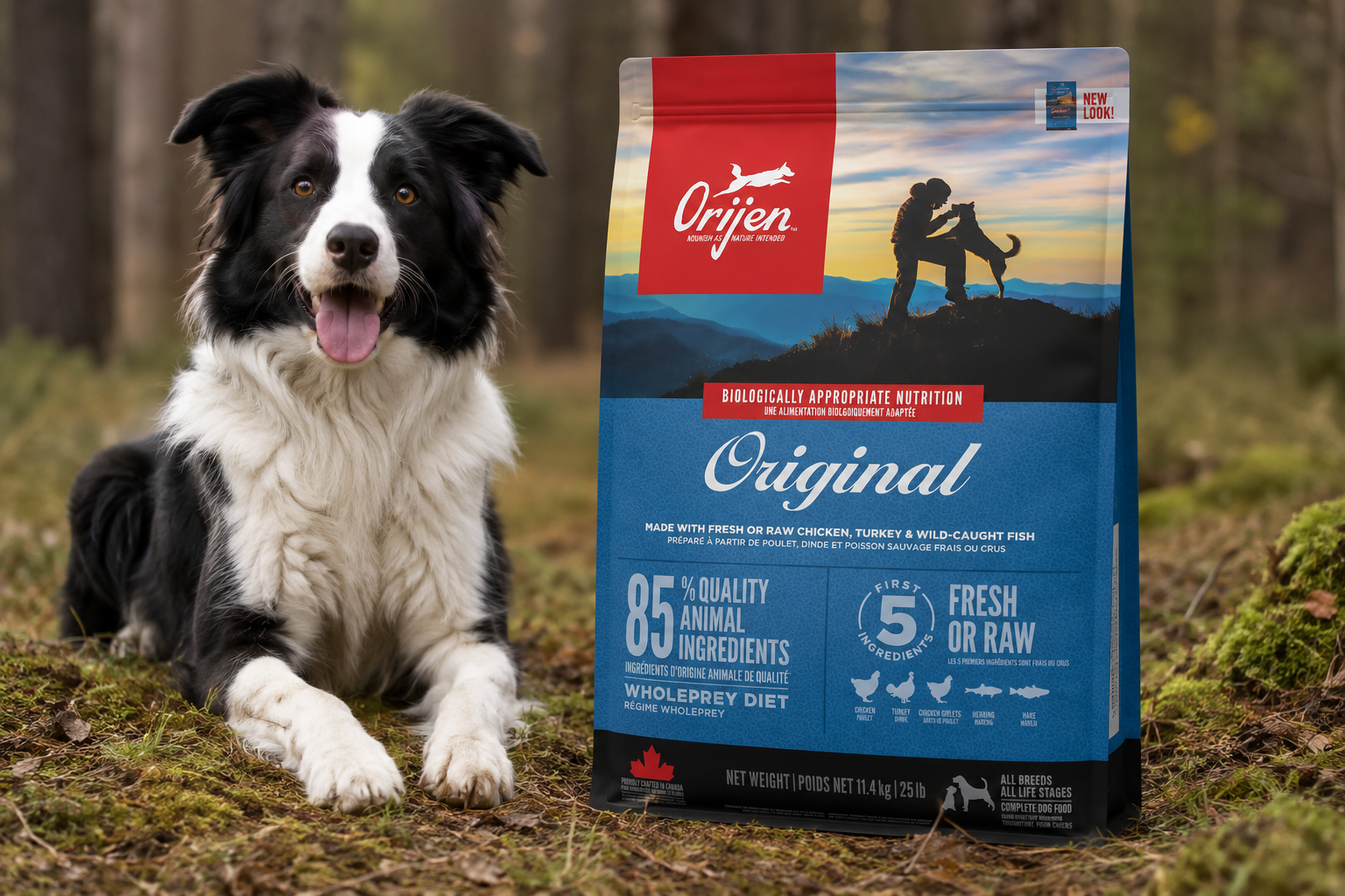 Orijen Hundefoder