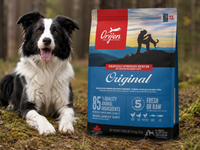 Orijen Hundefoder