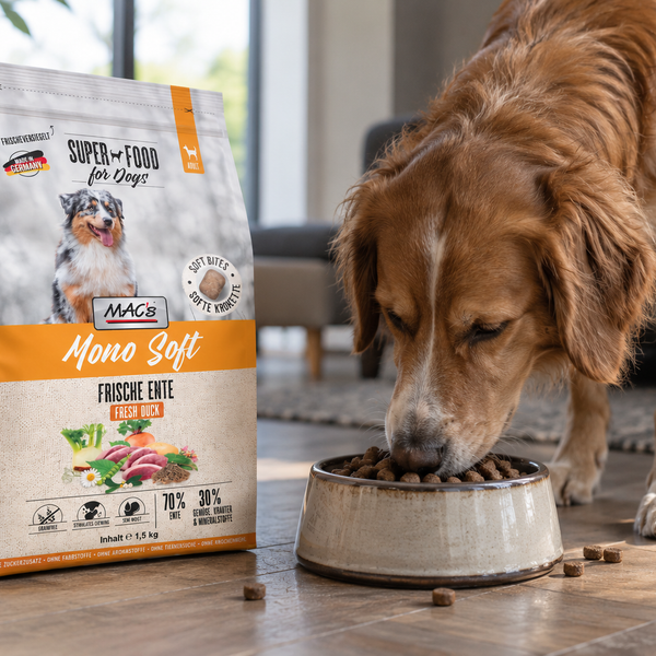 MAC's hundefoder: kornfrit, monoprotein og alternativer