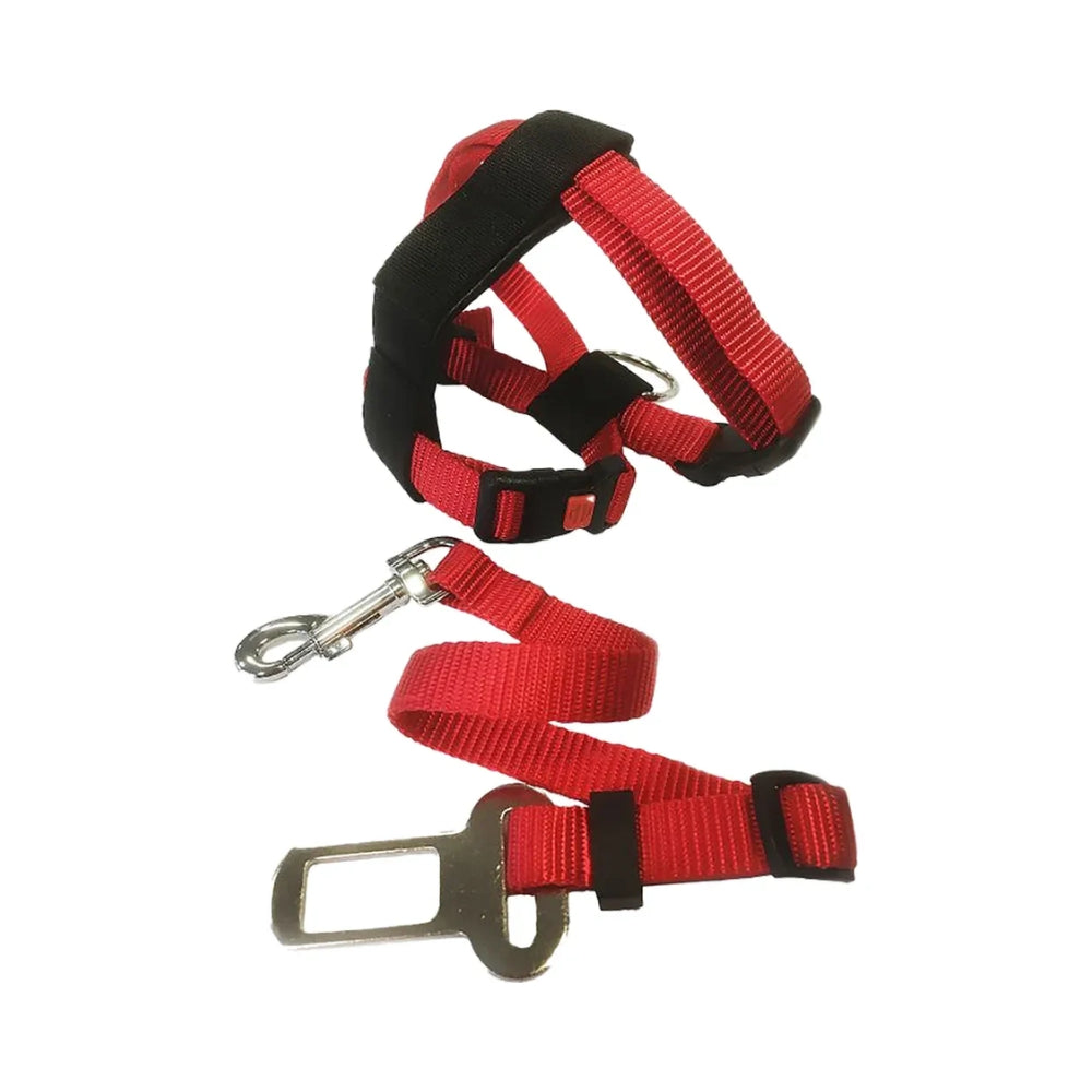 Flamingo Bilsele Kat