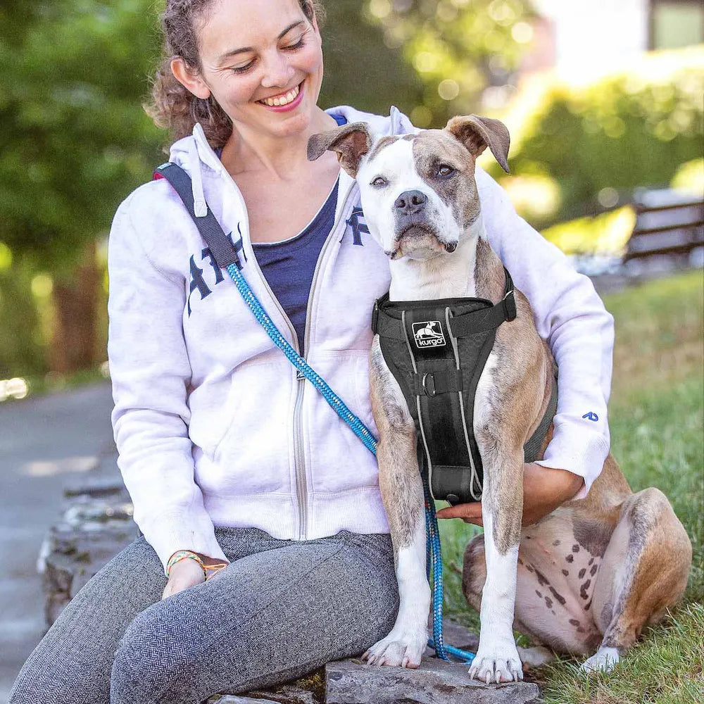 Kurgo Tru-Fit Smart Harness med sikkerhedssele-adapter