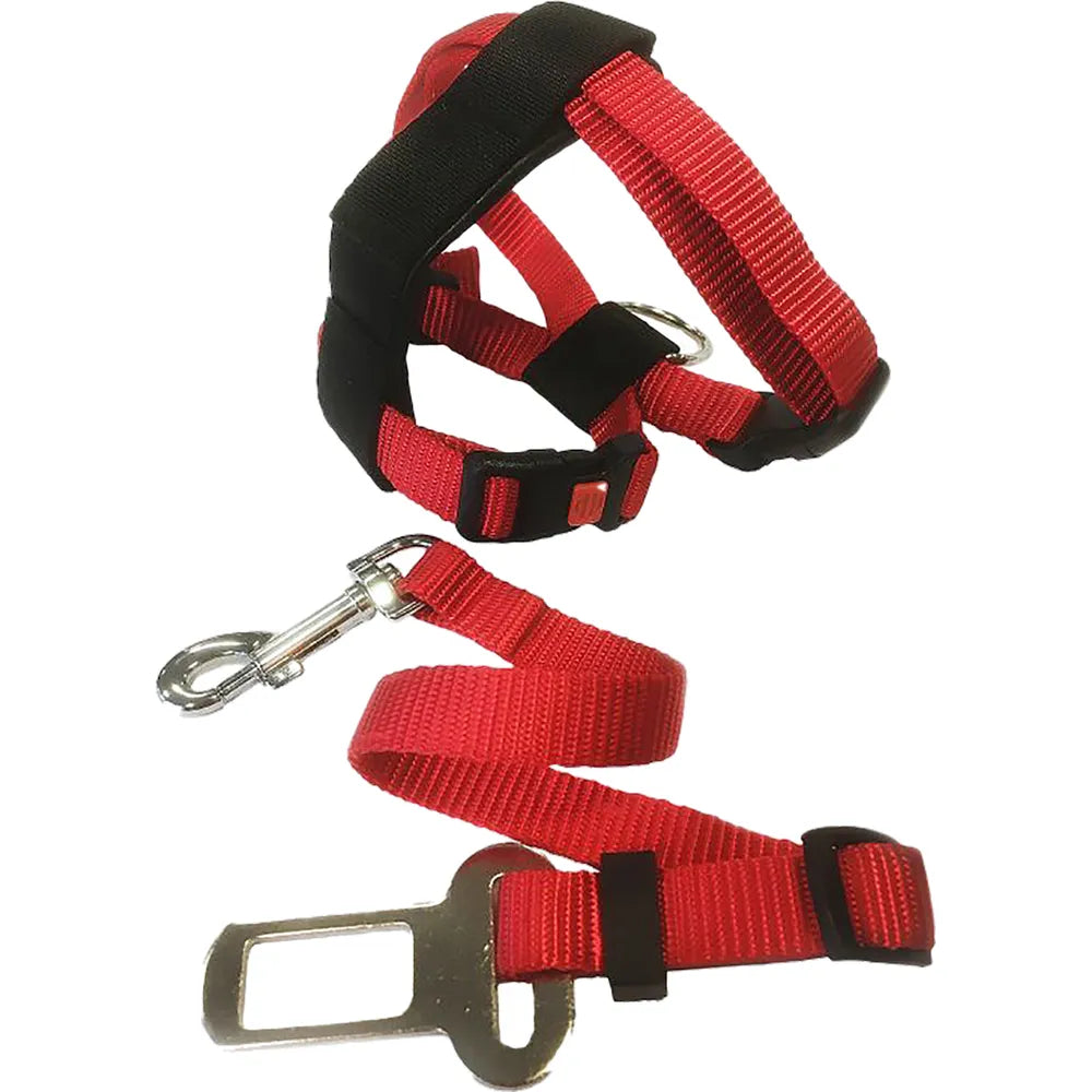 Flamingo Bilsele Kat