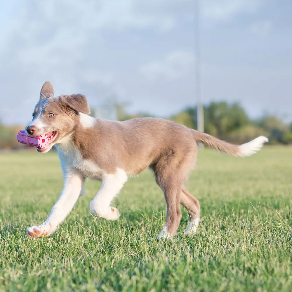 Kong Puppy Teethingstick L 6x12x6cm