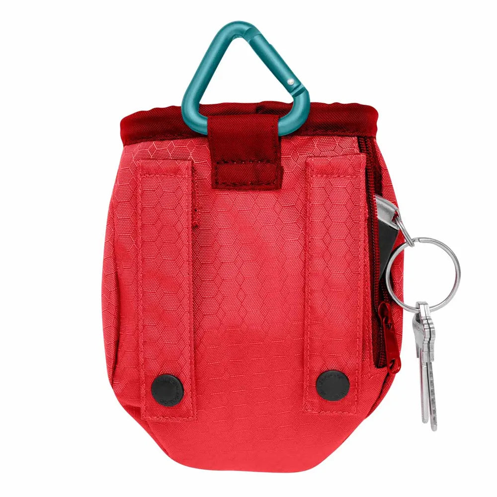 Kurgo Go Stuff It Treat Bag