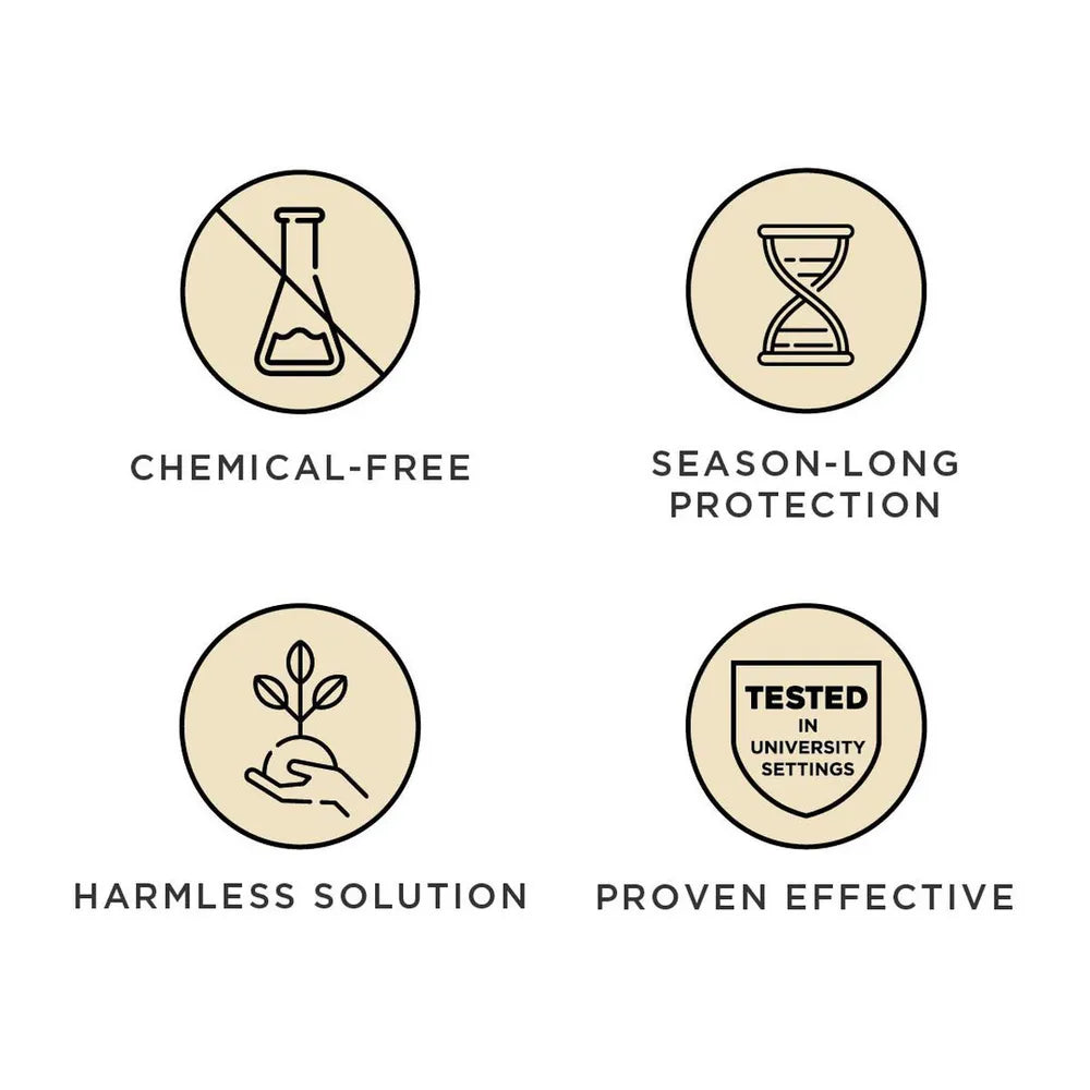 Tickless Active Grøn