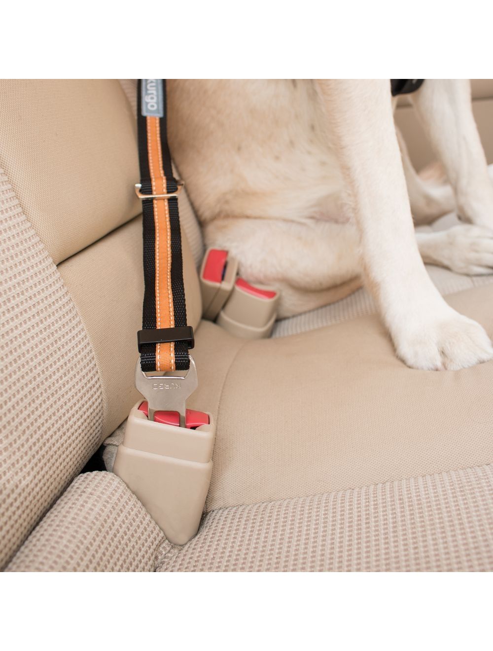 Sikkerhedssele Strop