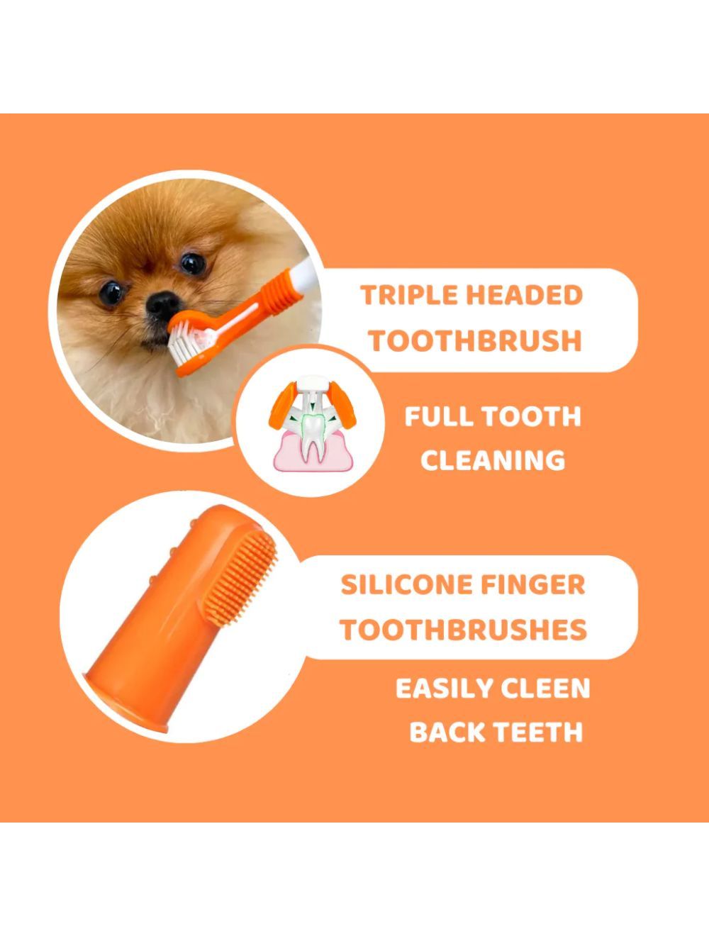 Dogslife Dental Kit (tandpleje sæt)