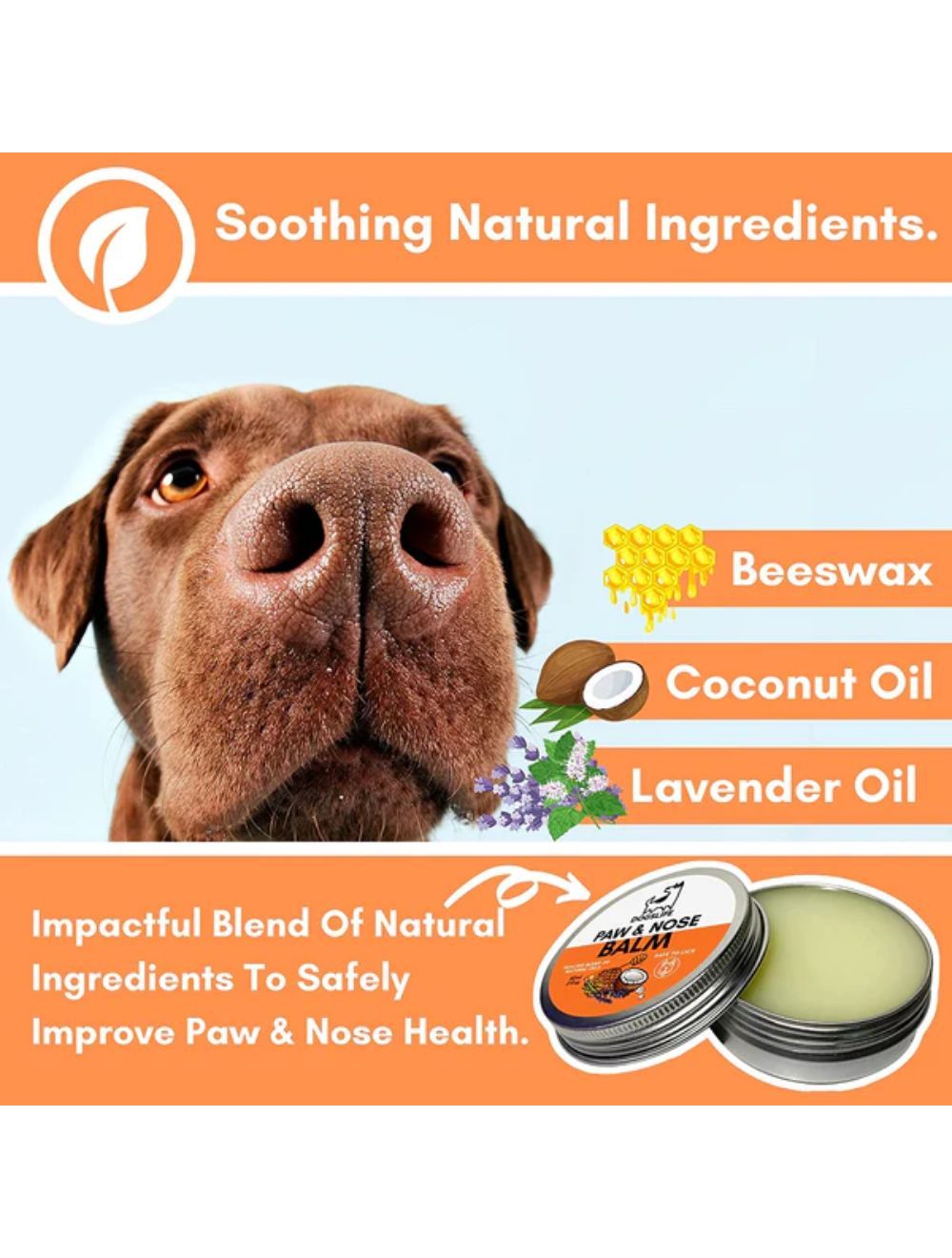 Dogslife Pote og næsecreme 60ml