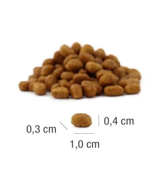 PLATINUM MeatCrisp Kitten Chicken tørfoder til killinger – billede 3