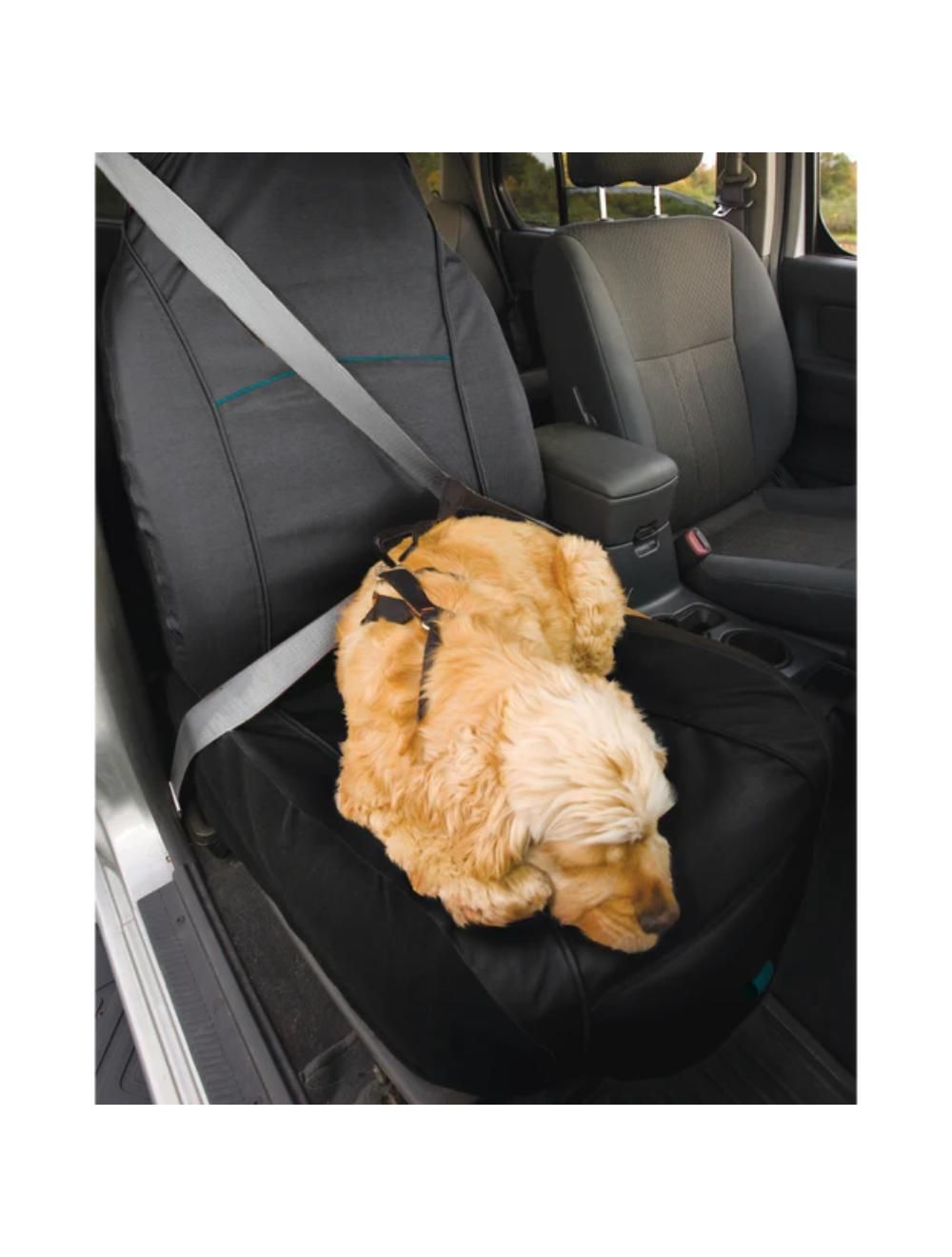 Forsædeovertræk, Sort