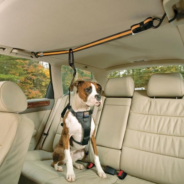Kurgo Auto Zip Line til hund i bil, produktbillede