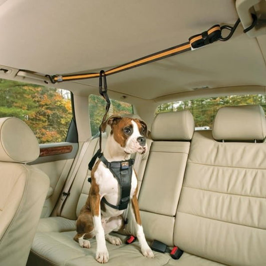 Kurgo Auto Zip Line til hund i bil, produktbillede