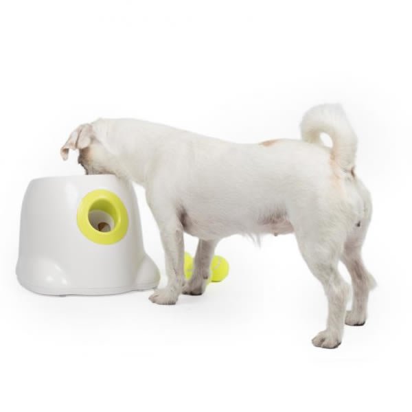Hyper Fetch Maxi - Boldkaster til hund Automatisk